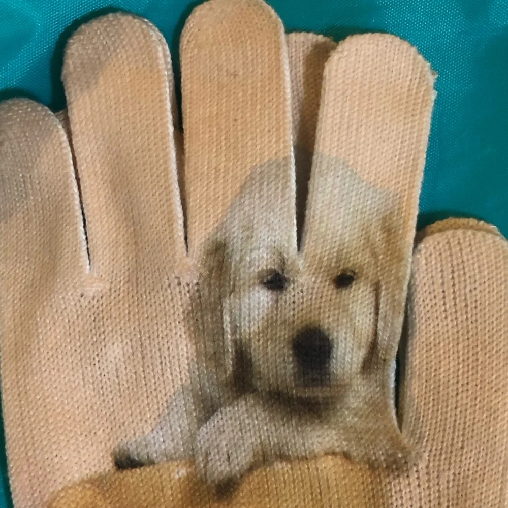 Women’s dog puppy in coffee cup printed beige‎ knit gloves one size new